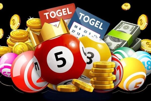 Lotto Untuk Pemula