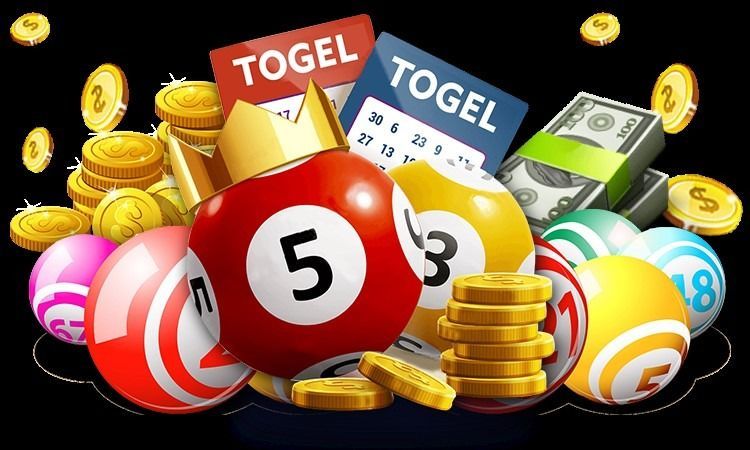Lotto Untuk Pemula